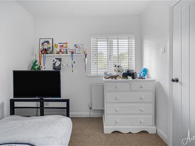 Picture 16